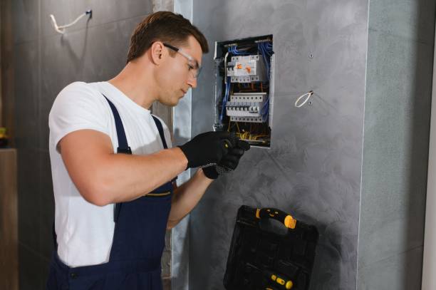 Best Electric Panel Repair  in Floris, VA